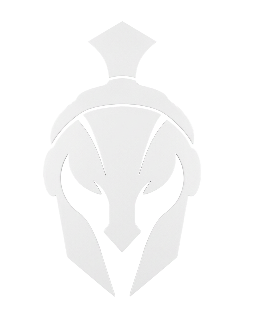 Warrior helmet